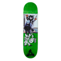 Benny S43 Deck - 8.1