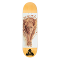 Jamal S43 Deck - 8.25