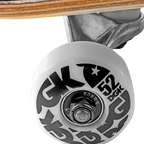 DGK Treasures Reid Complete Multi - 8.06