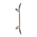 DGK Treasures Reid Complete Multi - 8.06