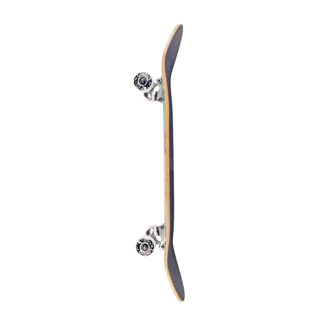 DGK Treasures Reid Complete Multi - 8.06