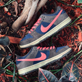 Nike SB Dunk Low Pro 200