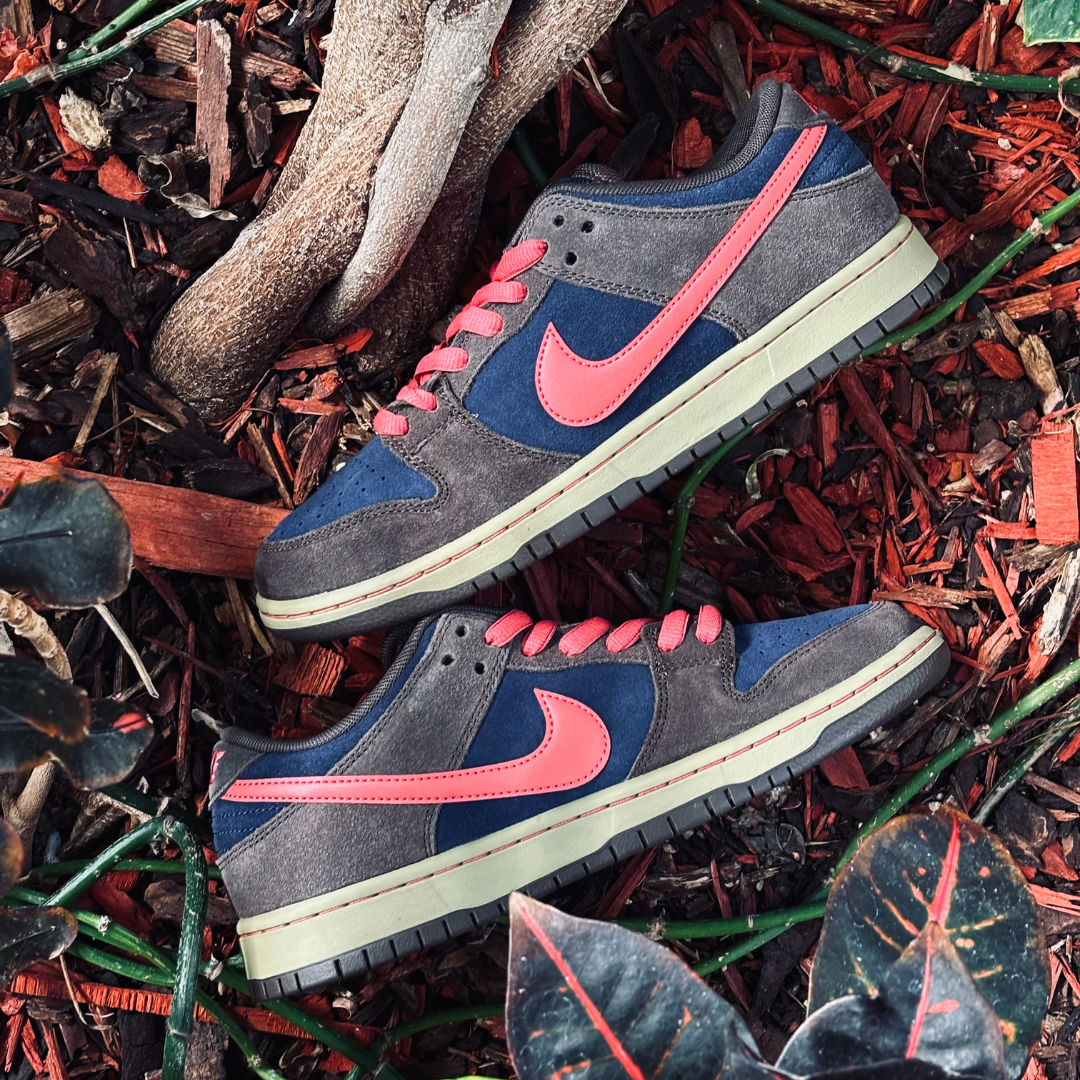 Nike SB Dunk Low Pro 200