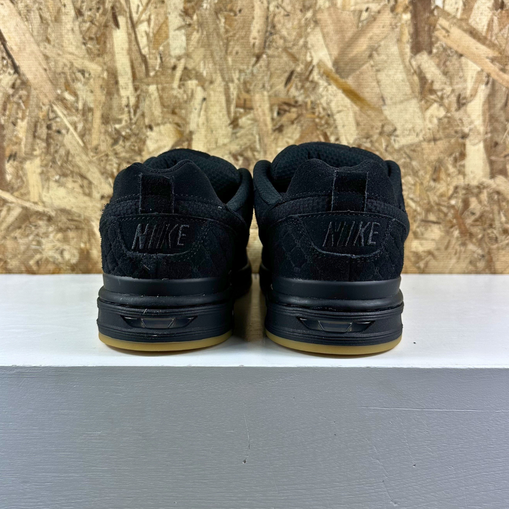 Nike SB Zoom Air Paul Rodriguez 001