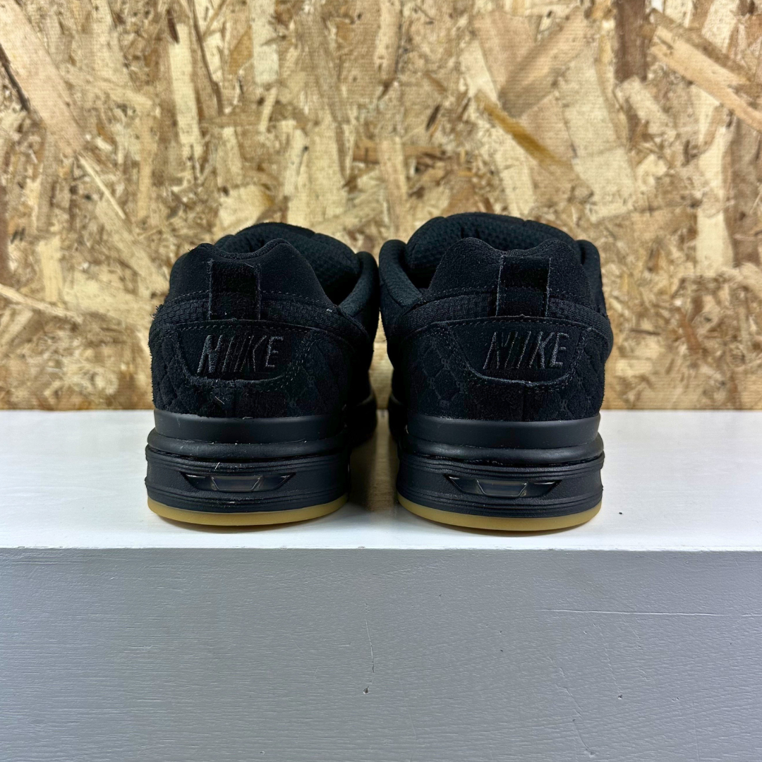 Nike SB Zoom Air Paul Rodriguez 001