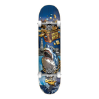 DGK Treasures Reid Complete Multi - 8.06