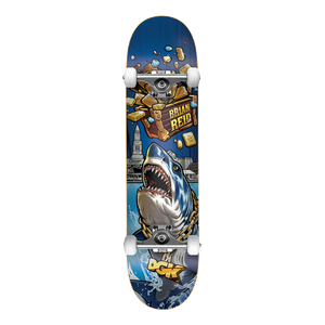 DGK Treasures Reid Complete Multi - 8.06