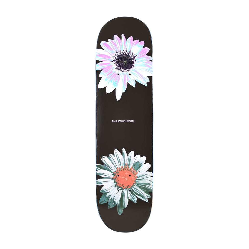 Quasi DB Heavy Deck (8.125”)