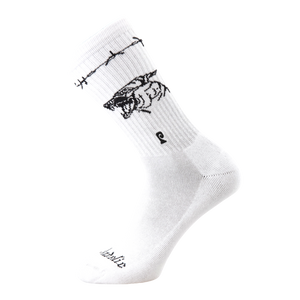 Psockadelic Beware Psocks