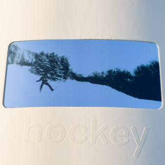 Hockey Nik Stain Take Off Shape 2 Deck 8.44